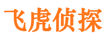 建始市调查公司